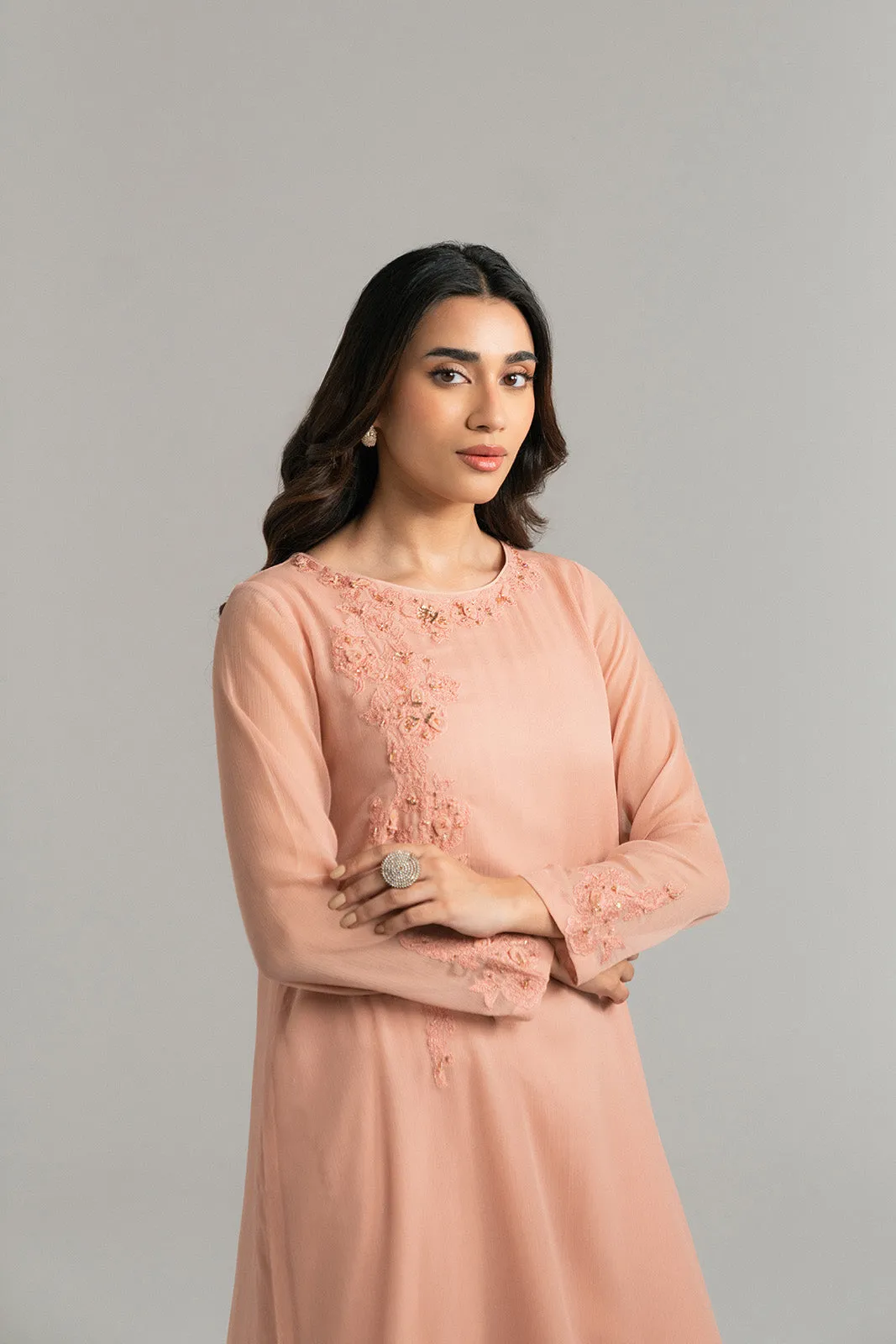 2 Piece Chiffon Embroidered Suit (FS0034)
