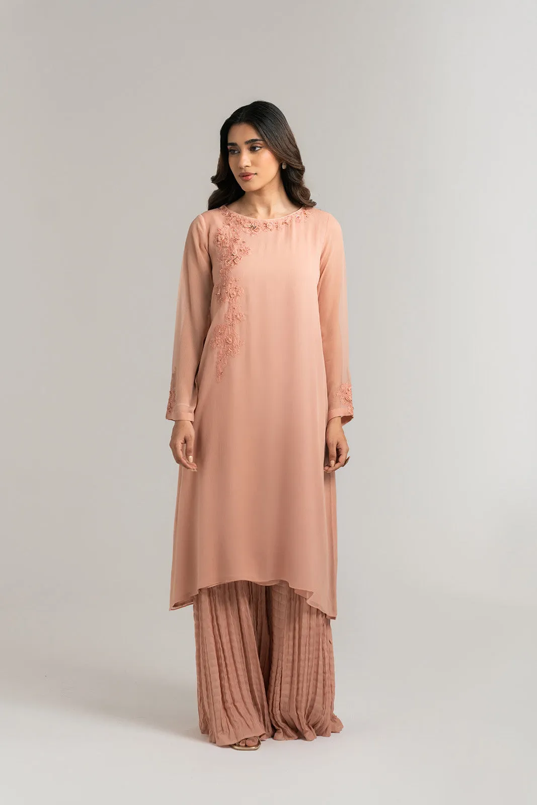 2 Piece Chiffon Embroidered Suit (FS0034)