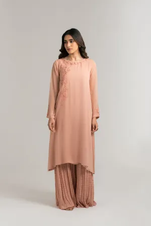 2 Piece Chiffon Embroidered Suit (FS0034)