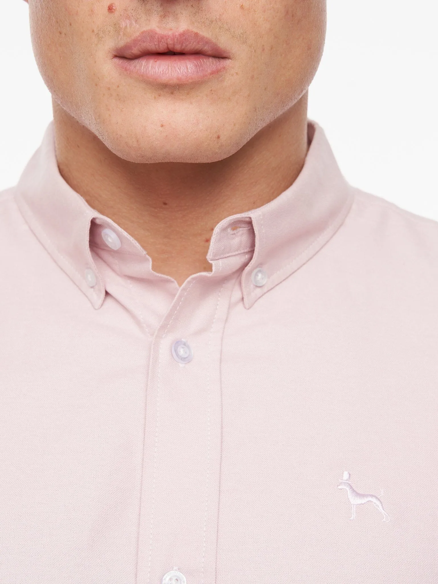 Ervin Oxford Shirt Light Pink