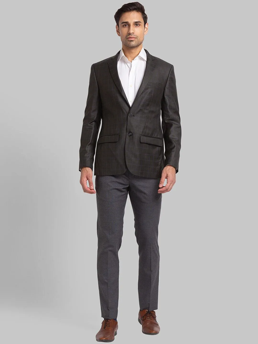 Park Avenue Men Checked Slim-Fit Single-Breasted 2 Piece Formal Suit