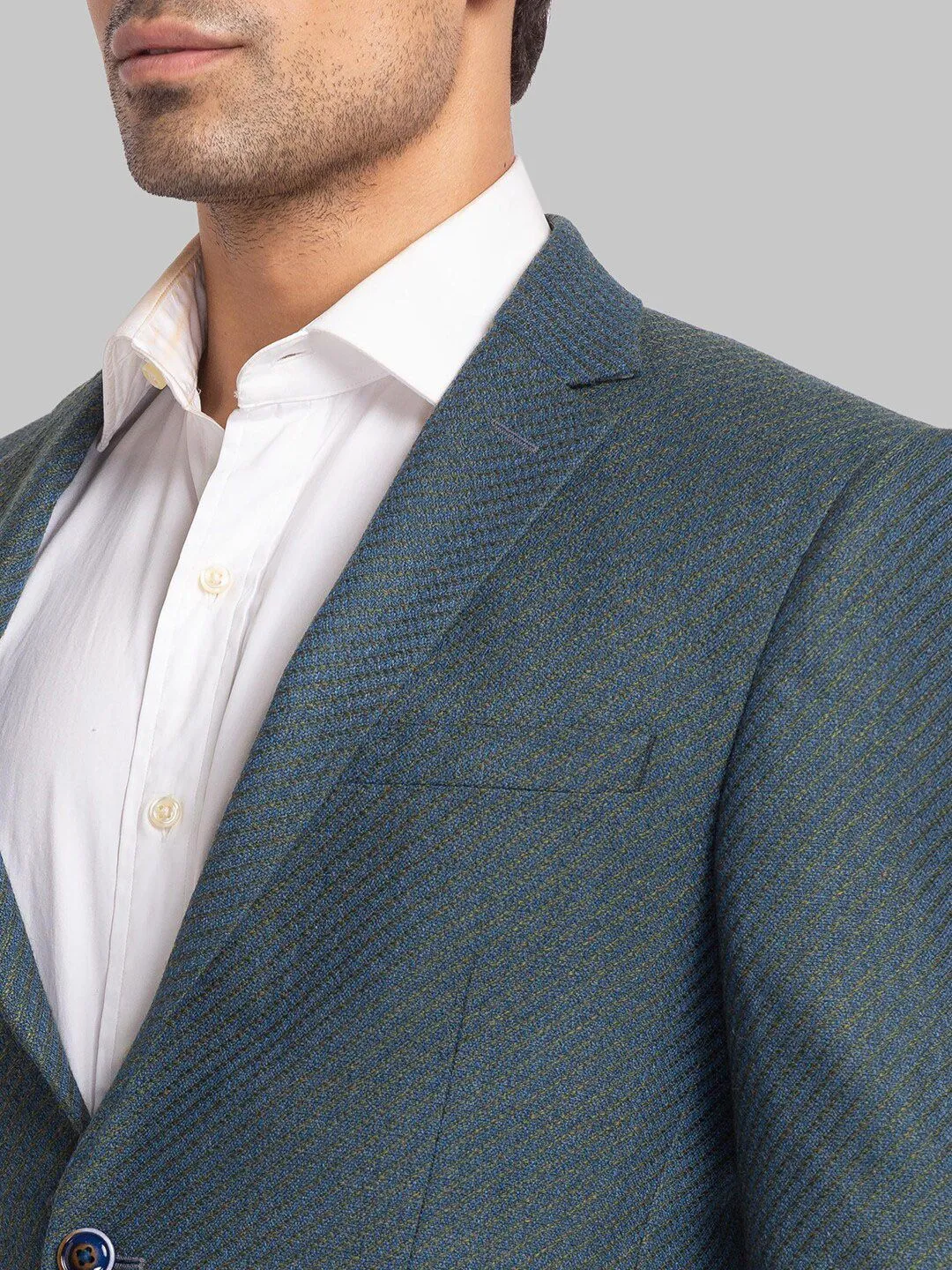Park Avenue Men Single Breasted Blazers