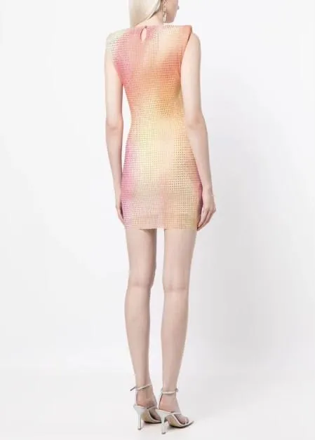 Printed Mesh Hotfix Mini Dress (Multi)