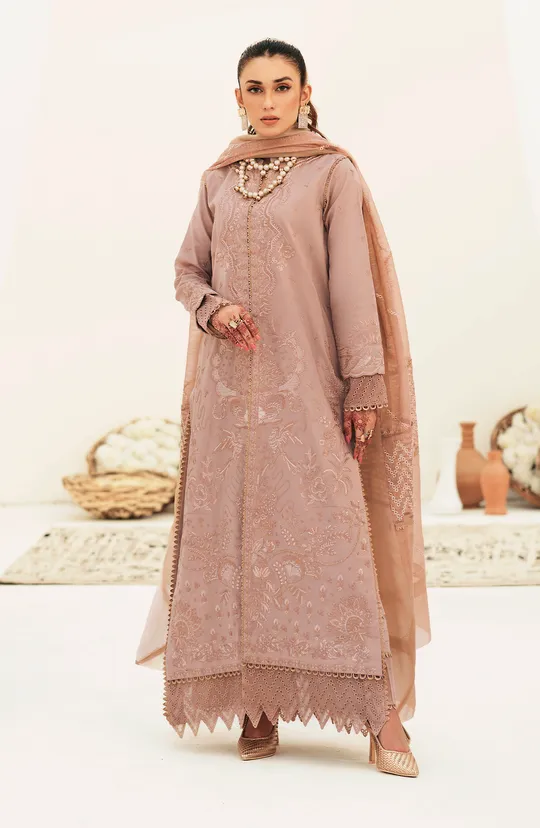 Rusty Pink Embroidered Pakistani Salwar Kameez with Dupatta Dress