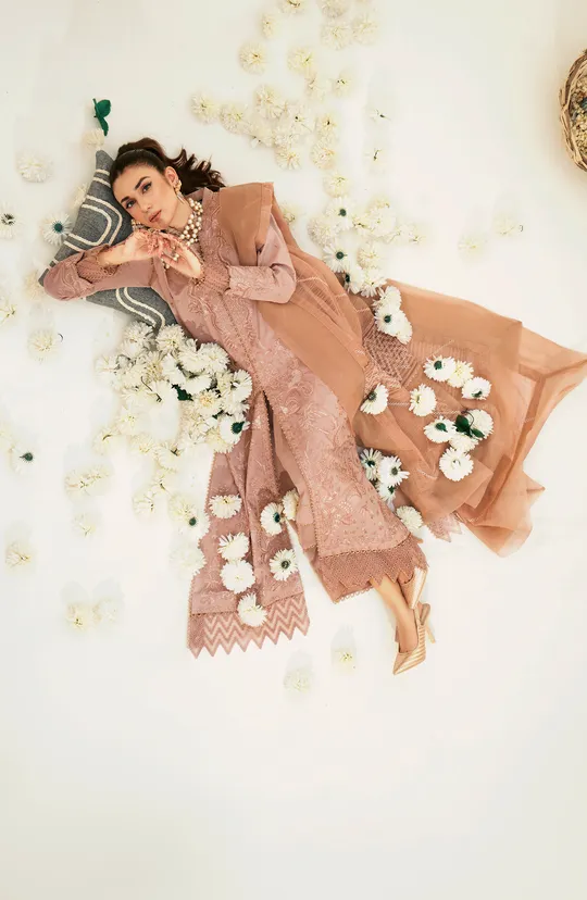 Rusty Pink Embroidered Pakistani Salwar Kameez with Dupatta Dress