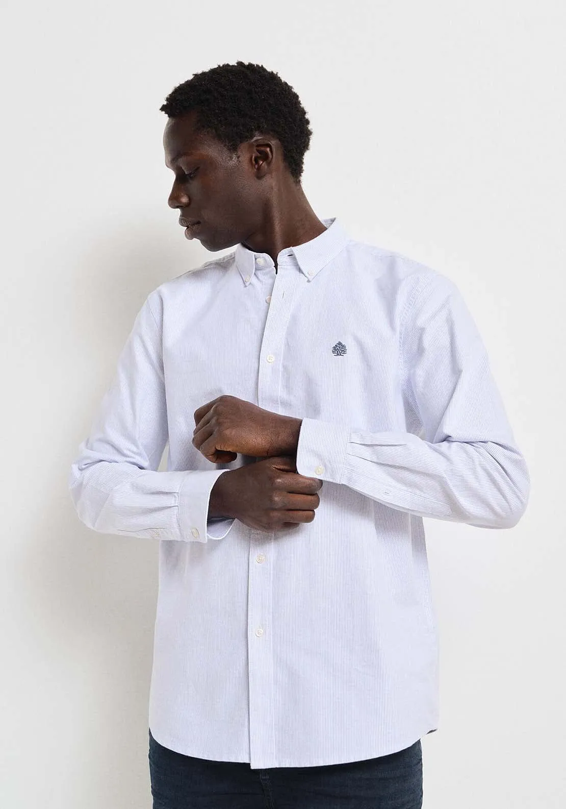 Striped Oxford shirt - Blue