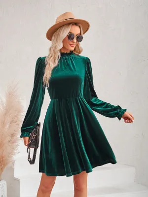 Turtleneck Velvet Dress with Long Sleeves and Fitted Waist