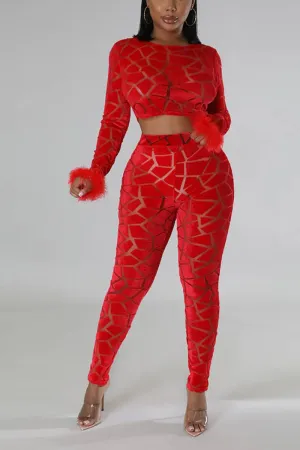 UI694 Long Sleeve Crop Top and Pants Set